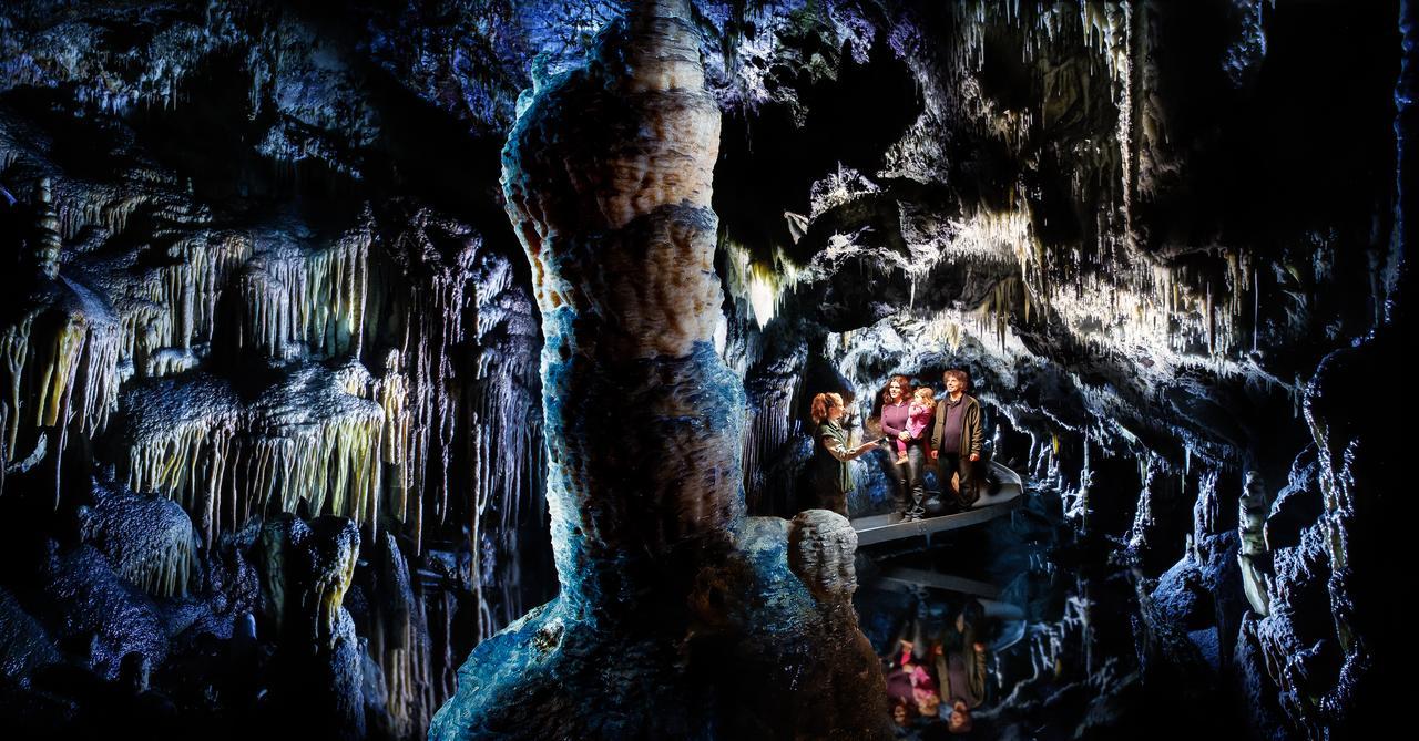 Yarrangobilly Caves Houseヴィラ エクステリア 写真